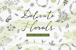 Download Delicate Florals Collection - Collection Collection