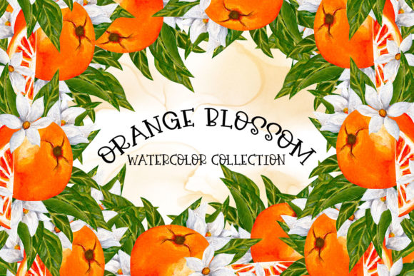 Download Orange Blossom-Watercolor Collection - Collection Collection